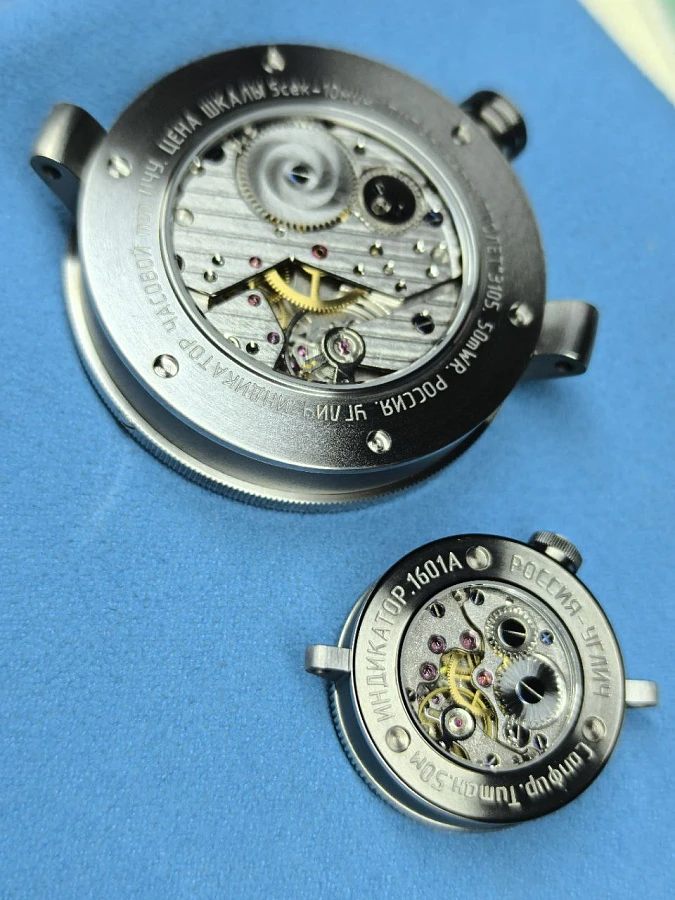 Индика Колибрика